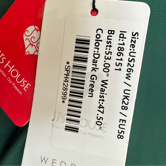 Sheath/Column scoop neck floor length Chiffon Hunter Green - Picture 13 of 14